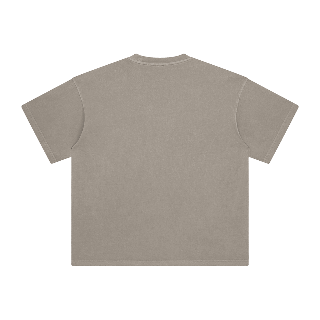 Enzyme Washed T-Shirt, Domestic shipping